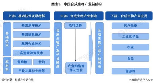 2024年中國合成生物產業全景圖譜 規模、布局與技術路線解析